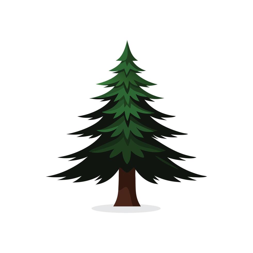 Black Spruce tree isolated flat illustration on white background. vector