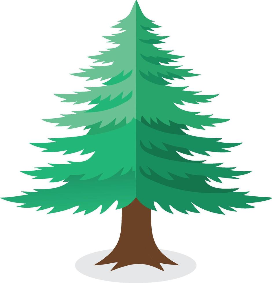 Atlantic White Cedar tree isolated flat illustration on white background vector
