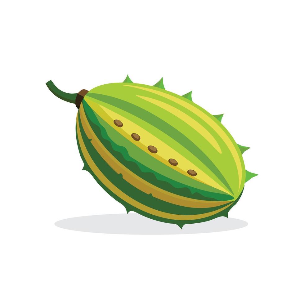 Bitter melon fruit isolated flat illustration on white background vector