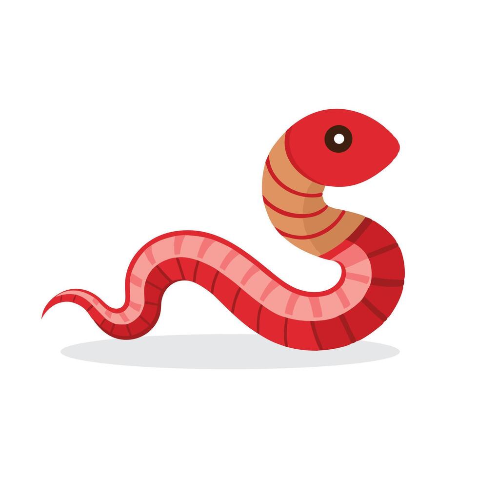 Bloodworm animal isolated flat illustration on white background. vector