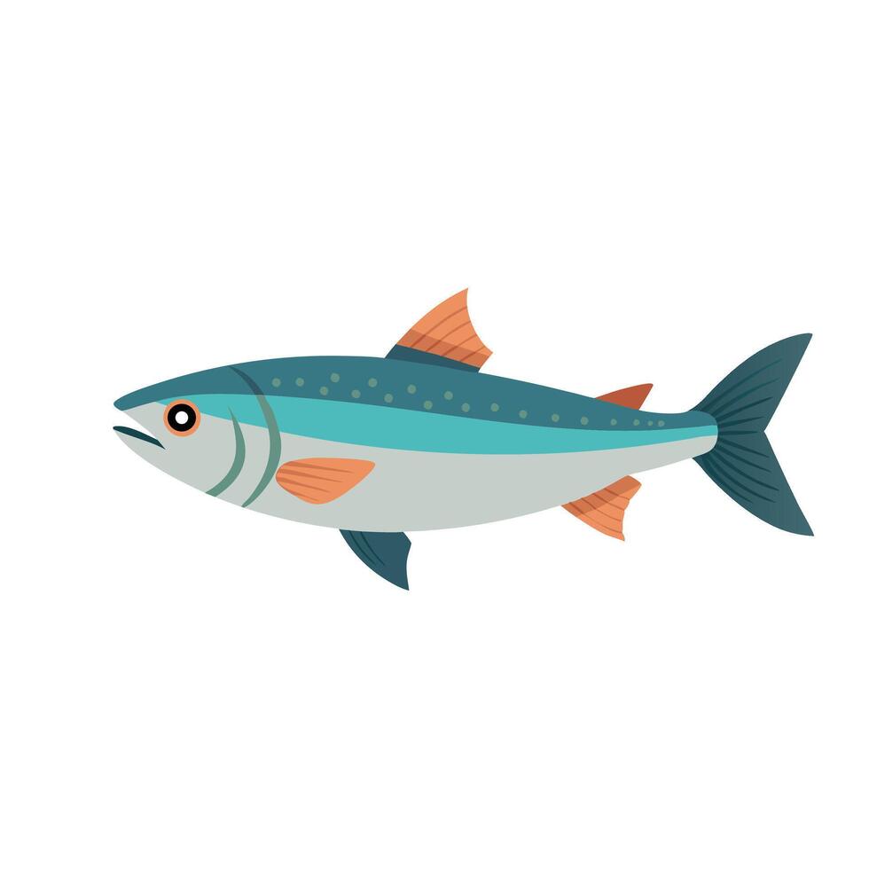 Atlantic salmon animal isolated flat illustration on white background. vector