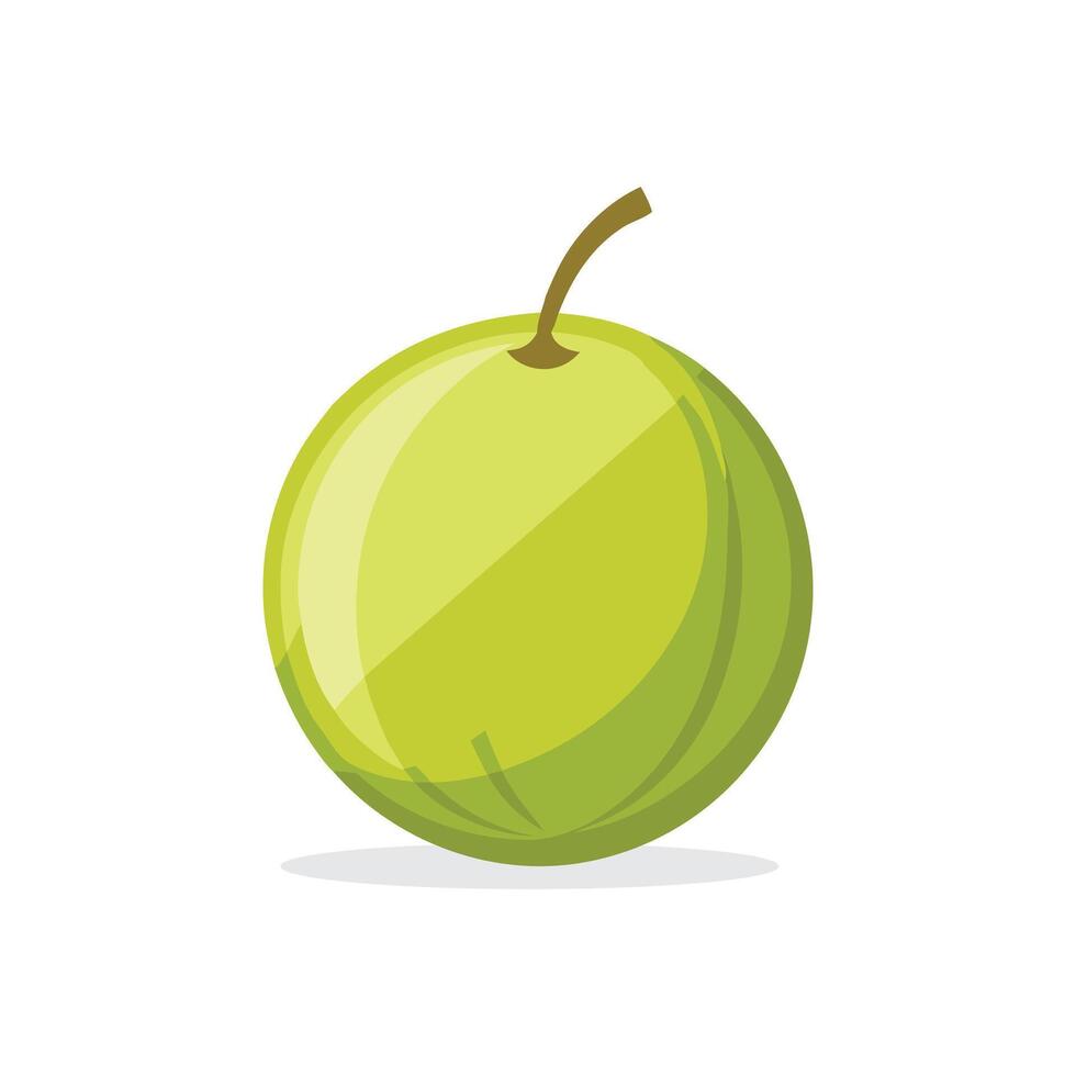Ceylon gooseberry fruit isolated flat illustration on white background vector
