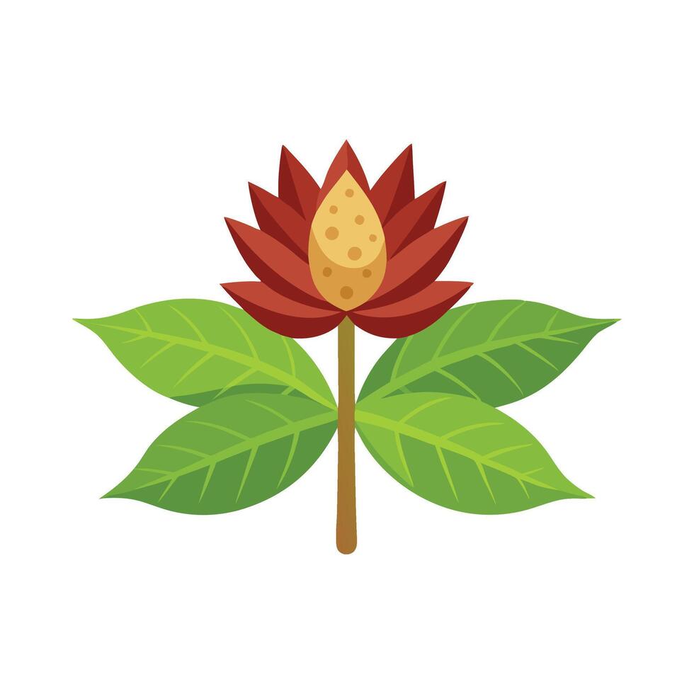 Castor Bean Flower flower isolated flat illustration on white background vector