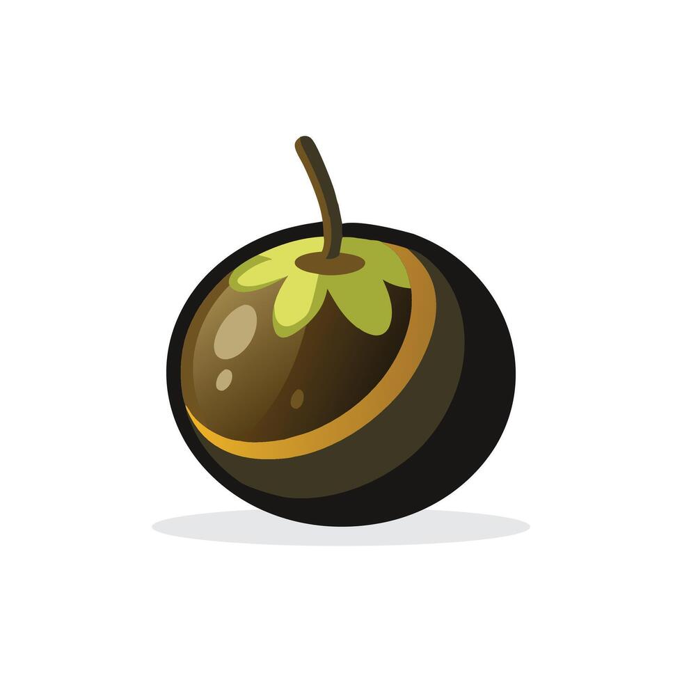 Black sapote fruit isolated flat illustration on white background vector