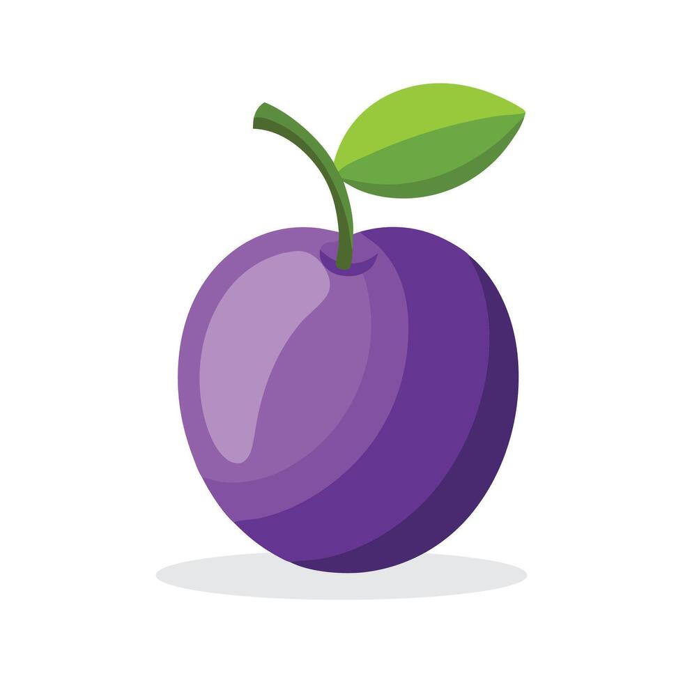 Plum fruit flat illustration on white background vector