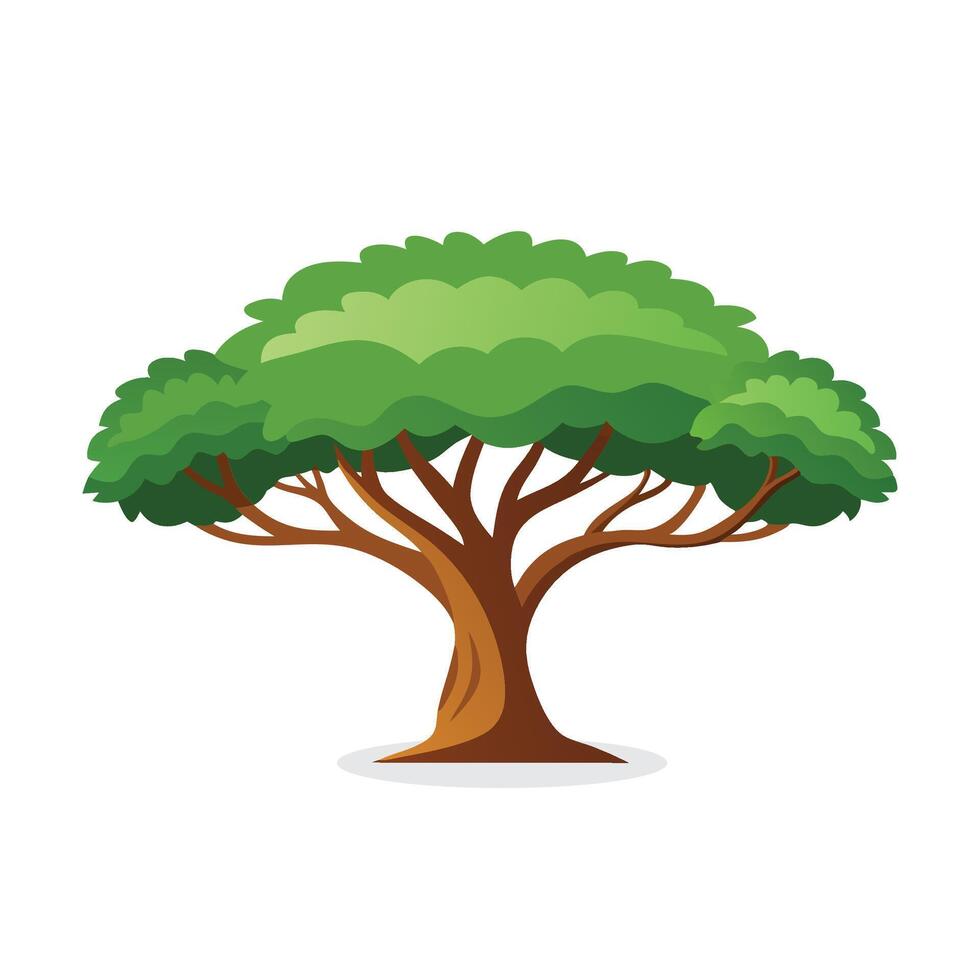 Carob tree isolated flat illustration on white background vector