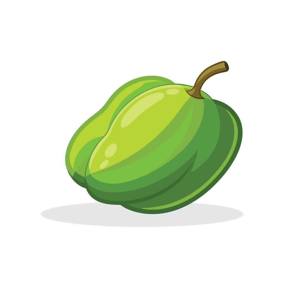 Chayote isolated flat illustration on white background. vector