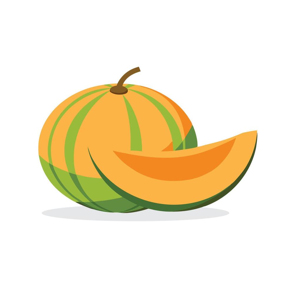 Cantaloupe fruit flat illustration on white background vector