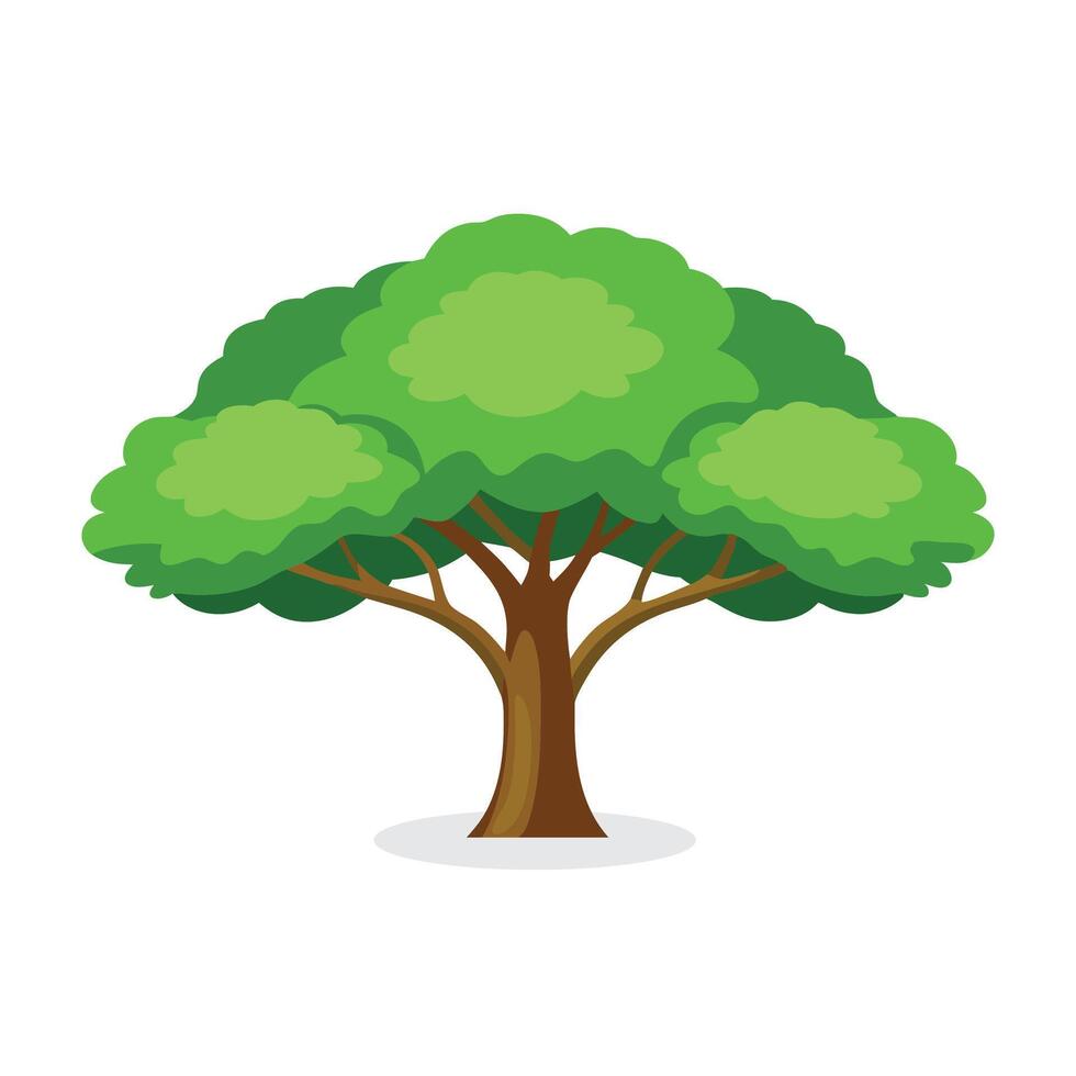 Catalpa tree isolated flat illustration on white background vector