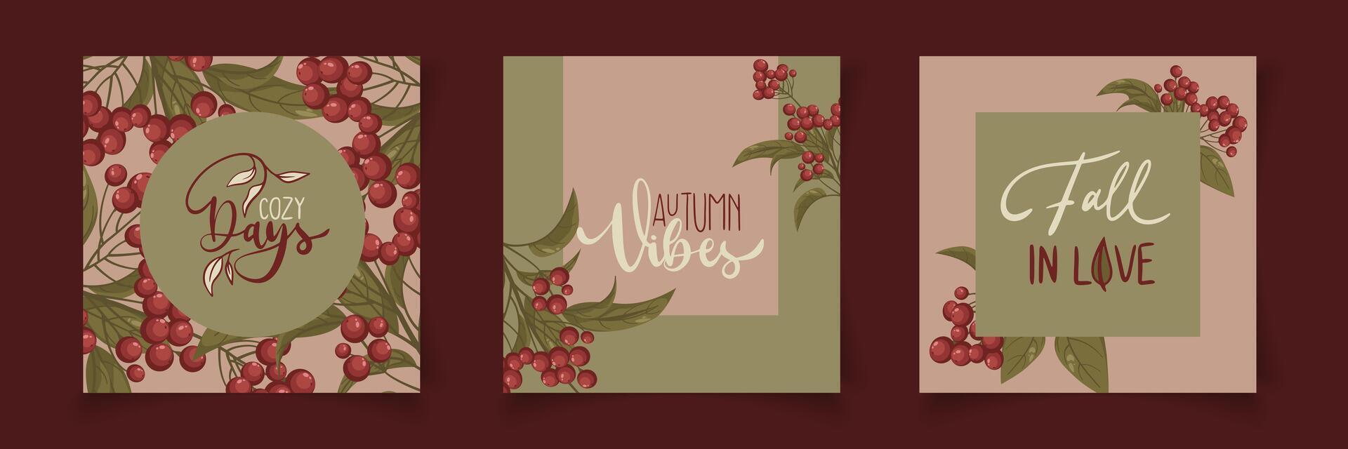 Set of colorful autumn posters with bright beautiful leaves frame vector