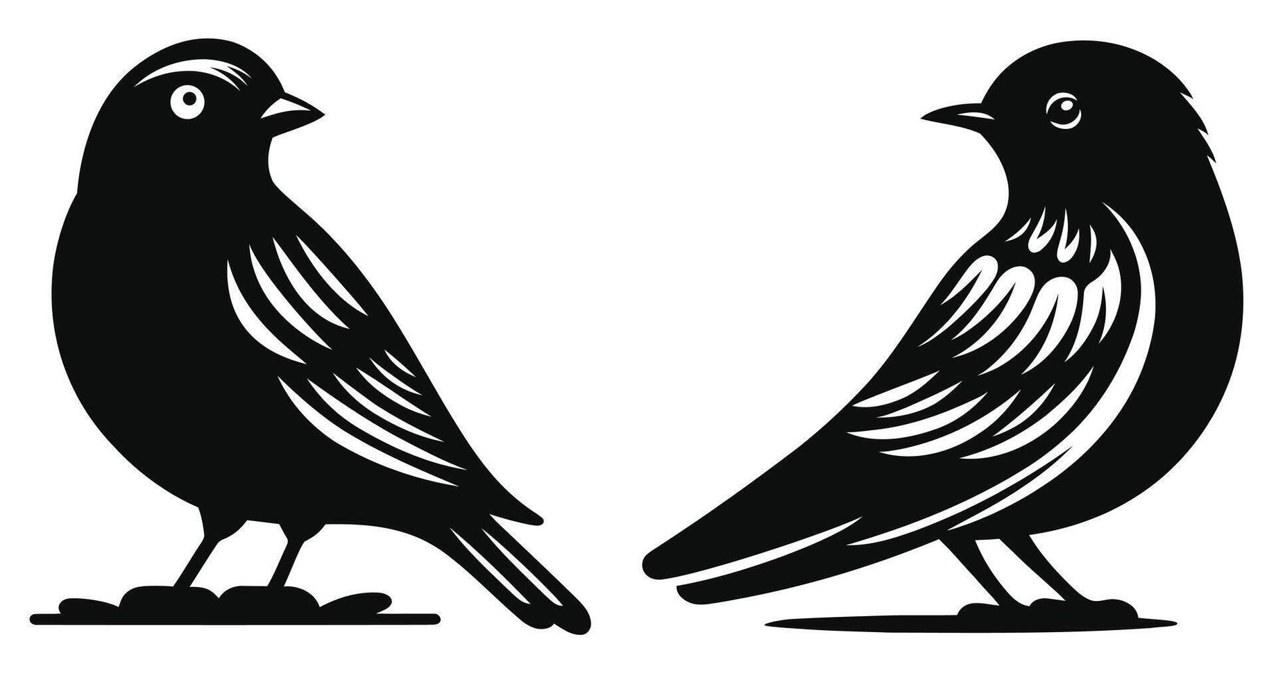 Bird silhouette, bird looking behind on a white background vector