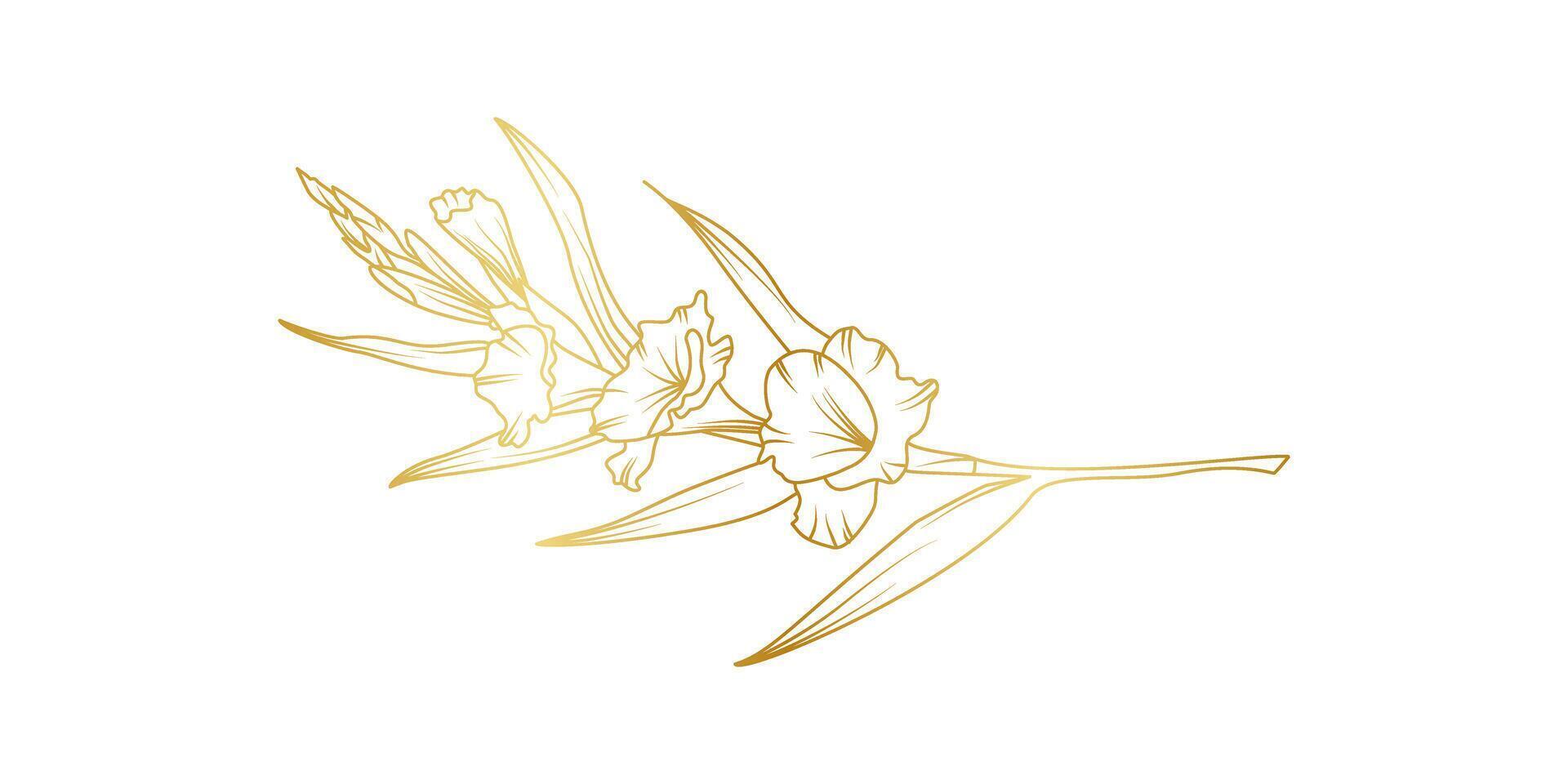 Gladiolus flowers line art isolated on white background. Luxury gladiolus floral golden design elements for invitation, wedding, wallpaper, print template, illustration vector