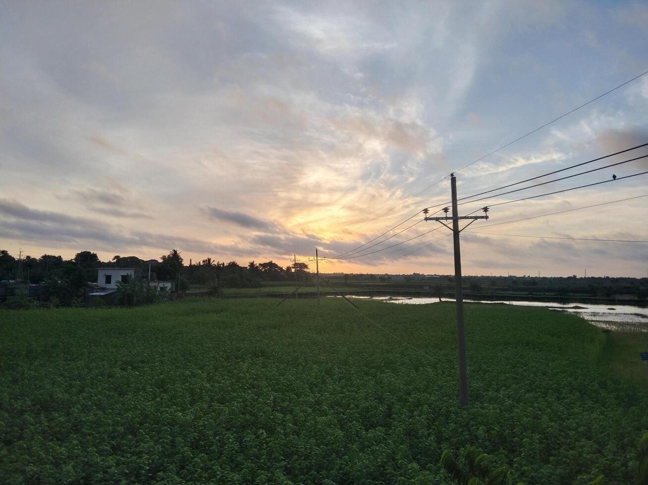 A green village under the sky photo