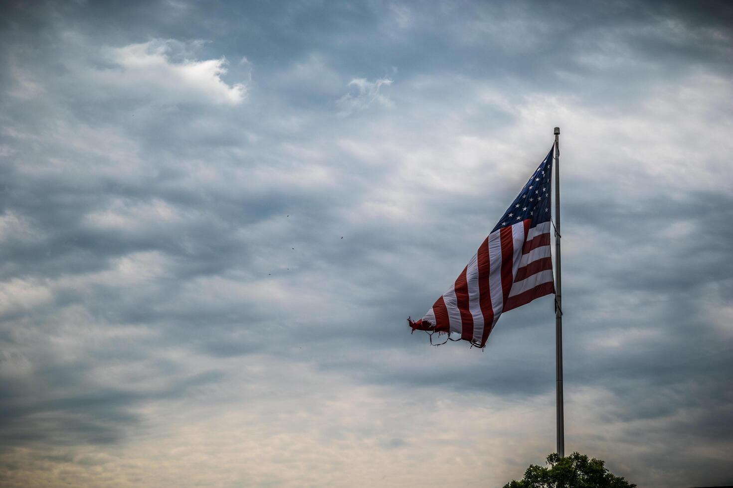 Torn and tattered American Flag photo