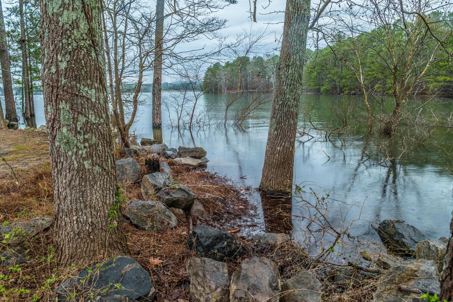 Lake shoreline flooded photo