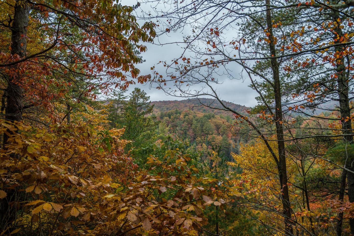 Lookout view in the mountains photo