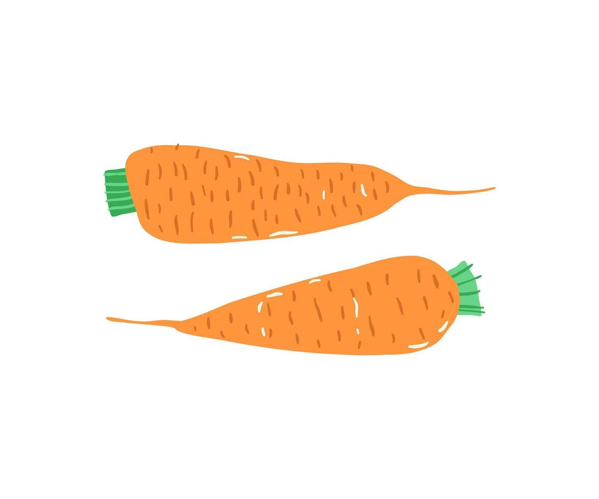 Carrot hand drawn. Vegetables, healthy food. illustration in flat style. vector