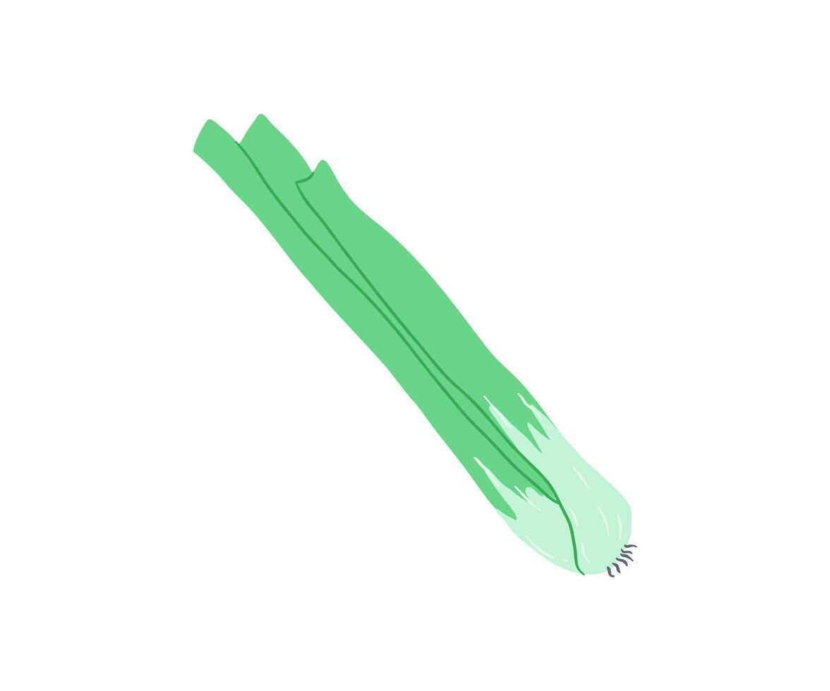 Celery is hand drawn. Vegetables, healthy food. illustration in flat style. vector