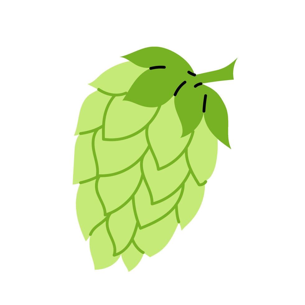 Hop cone. An ingredient for making beer. A climbing herbaceous plant. Hops. Illustration on a white background. vector
