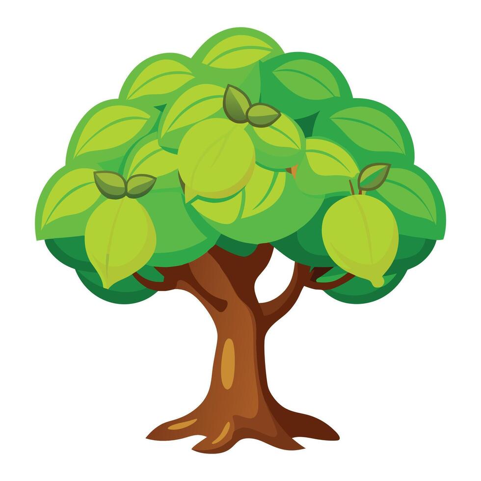 A green tree with leaves and fruit on it vector