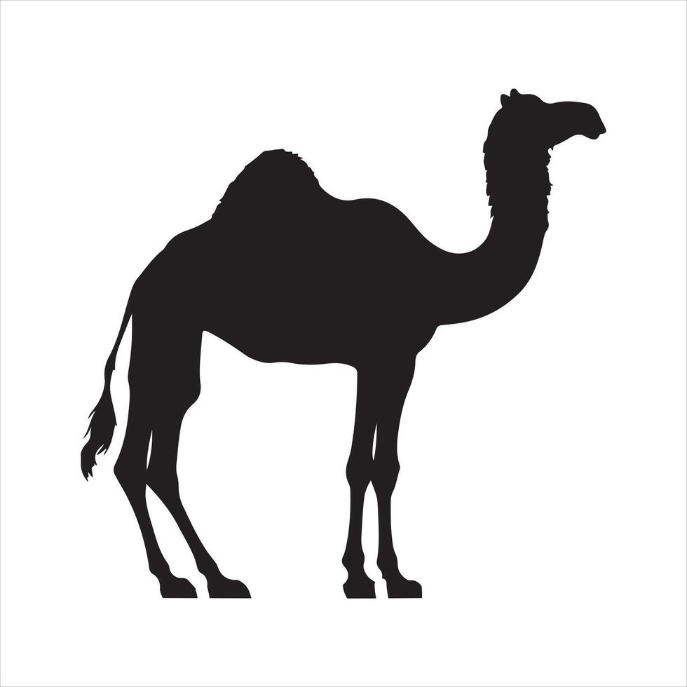 Camel silhouette on white background vector