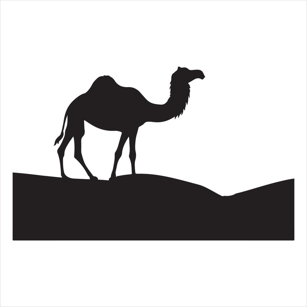 Camel silhouette on white background vector