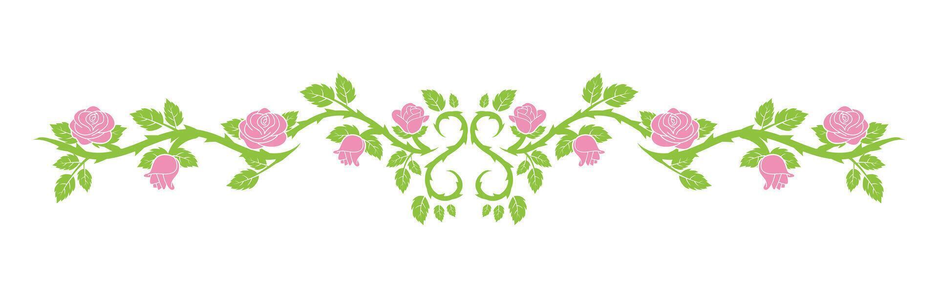 illustration of rose plant vector
