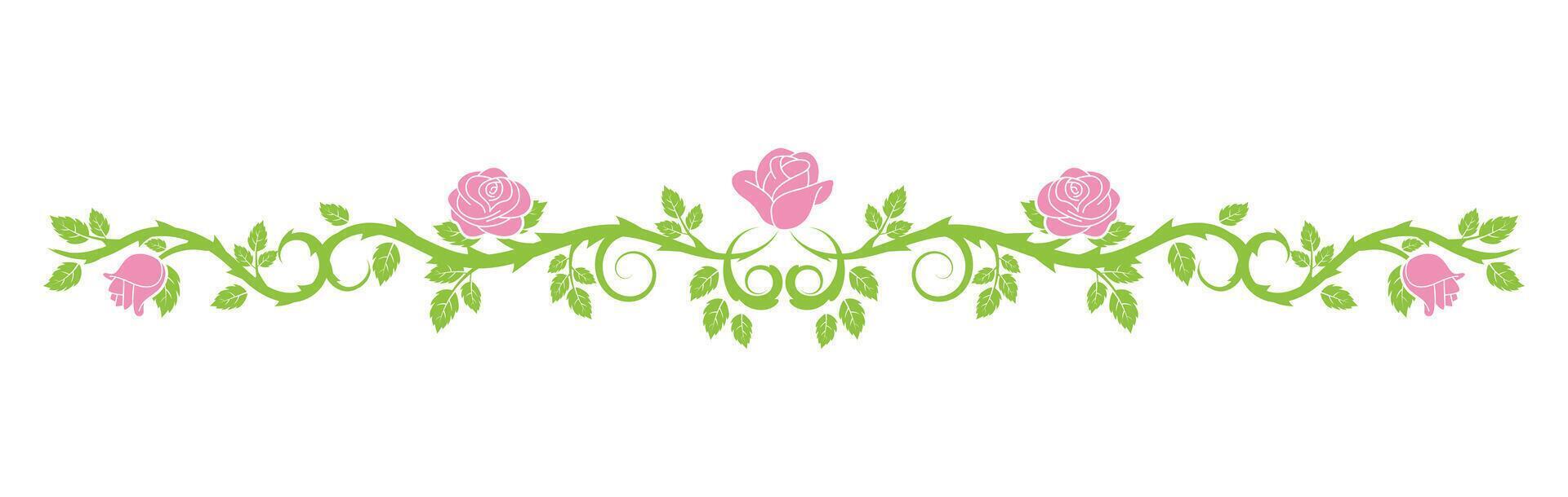 beautiful roses border vector