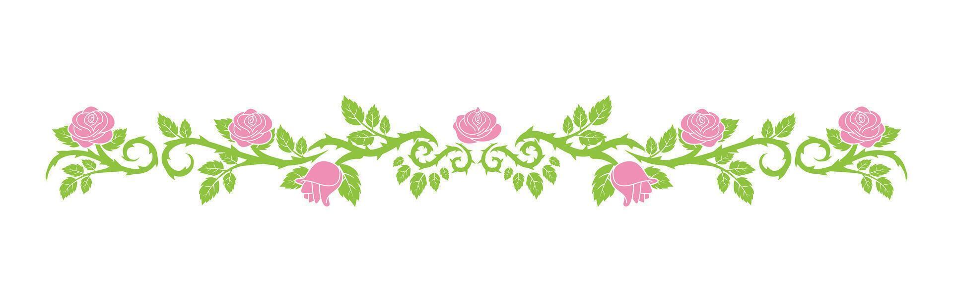 swirl roses border vector