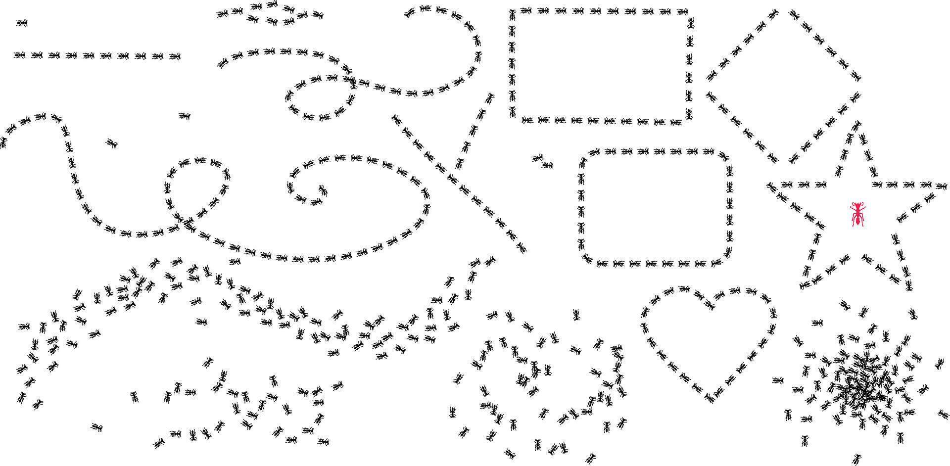 Set of Ant trail in different shapes. Insect path Stock illustration isolated on white background in flat simple style. vector