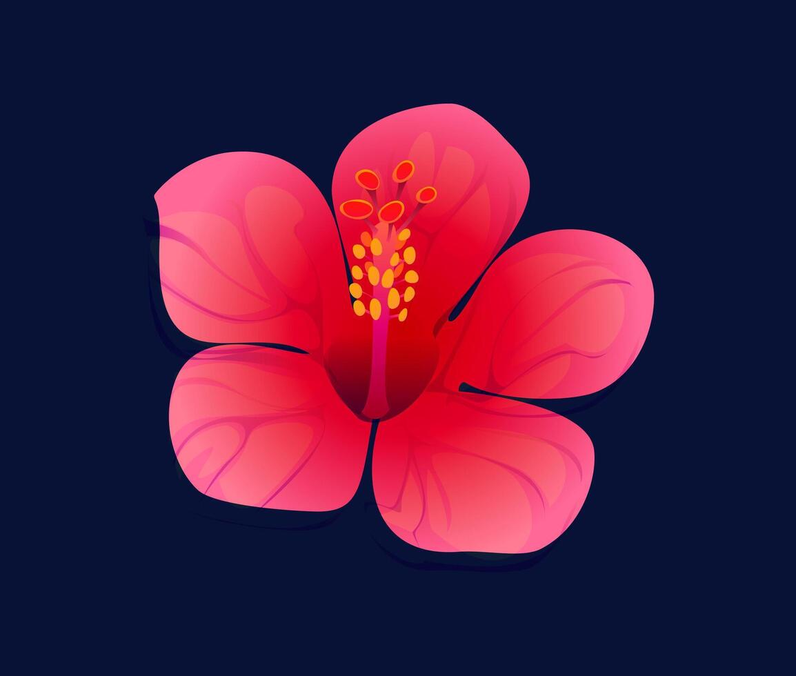 Cartoon hibiscus flower with pink and red petals vector