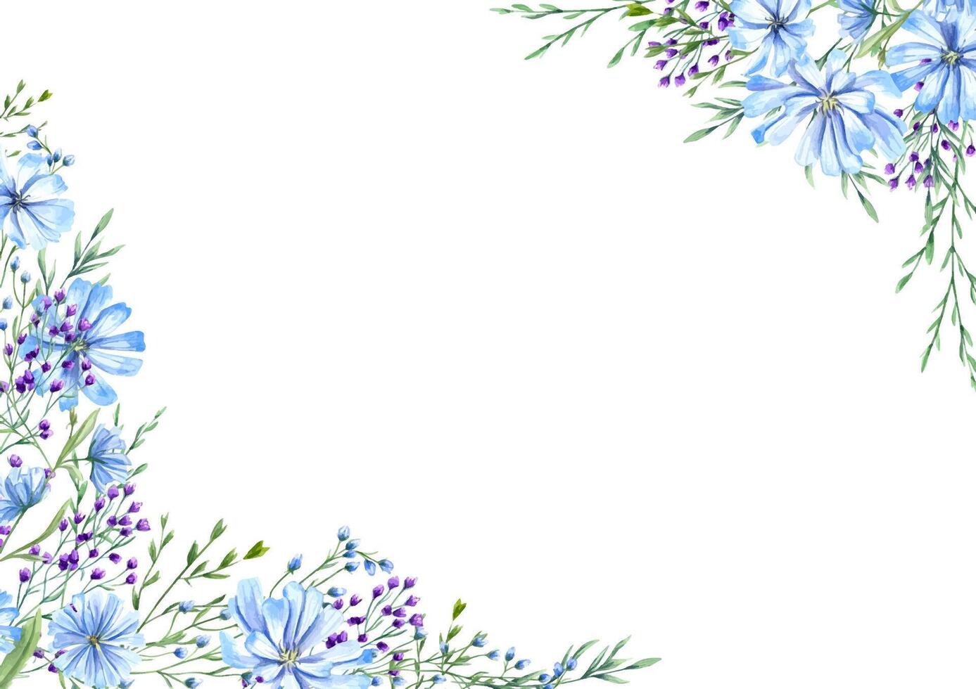 Blooming blue chicory and purple meadow flowers herbs among spikelet watercolor horizontal frame. Wild plants illustration with space for text. For greeting. invitation cards vector