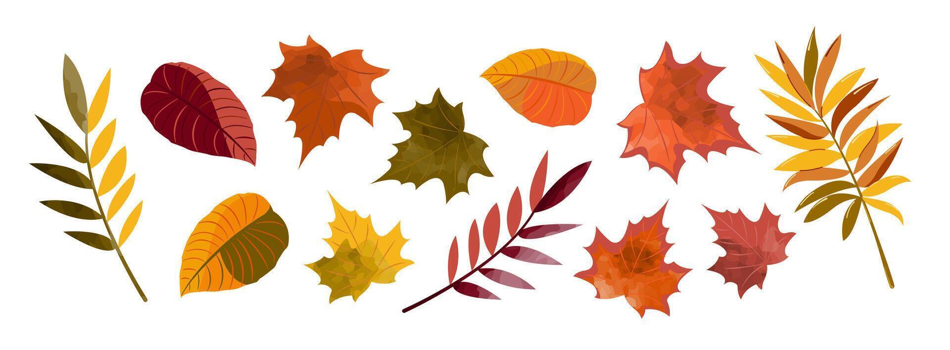 A set of illustrations of autumn leaves with elements of digital watercolor. vector
