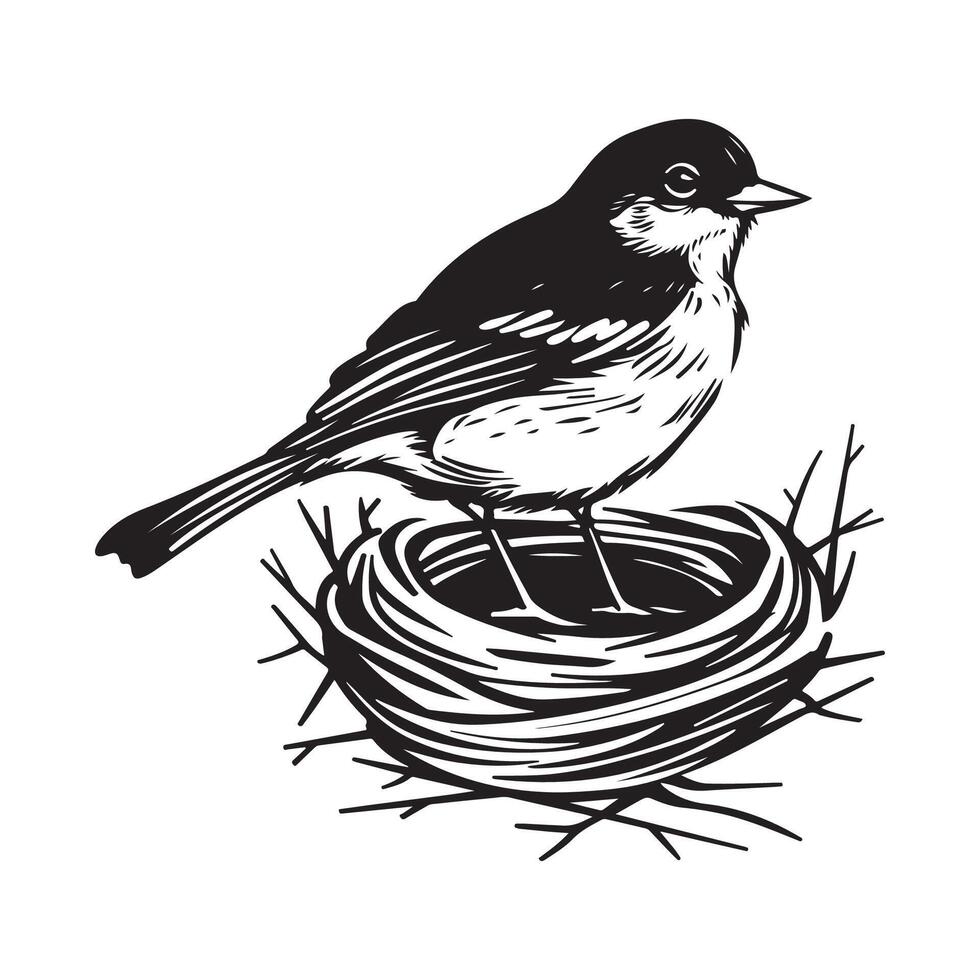 Illustration of a robin sitting in a nest stock image. vector