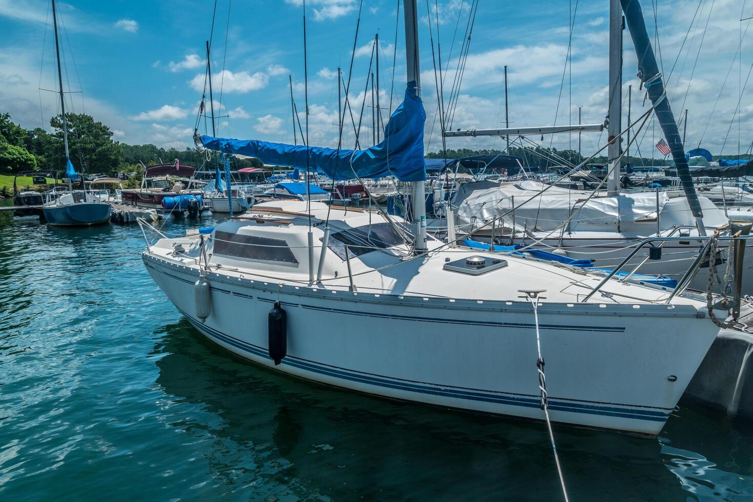 Sailboat and other boats at the docks photo