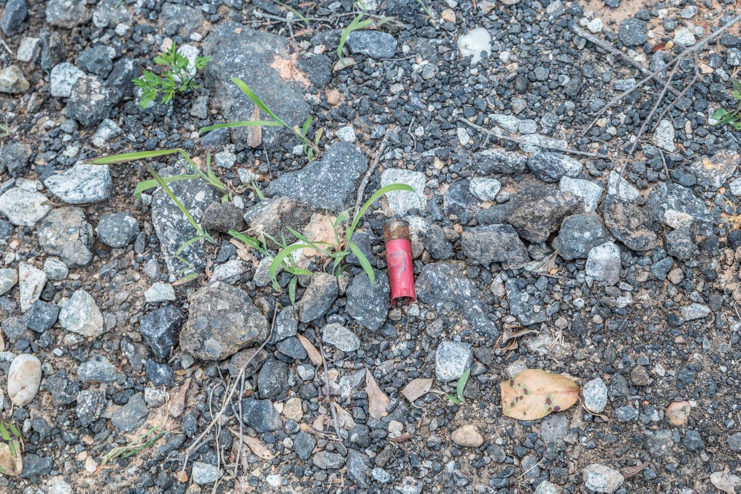 Shotgun shell laying on the ground photo