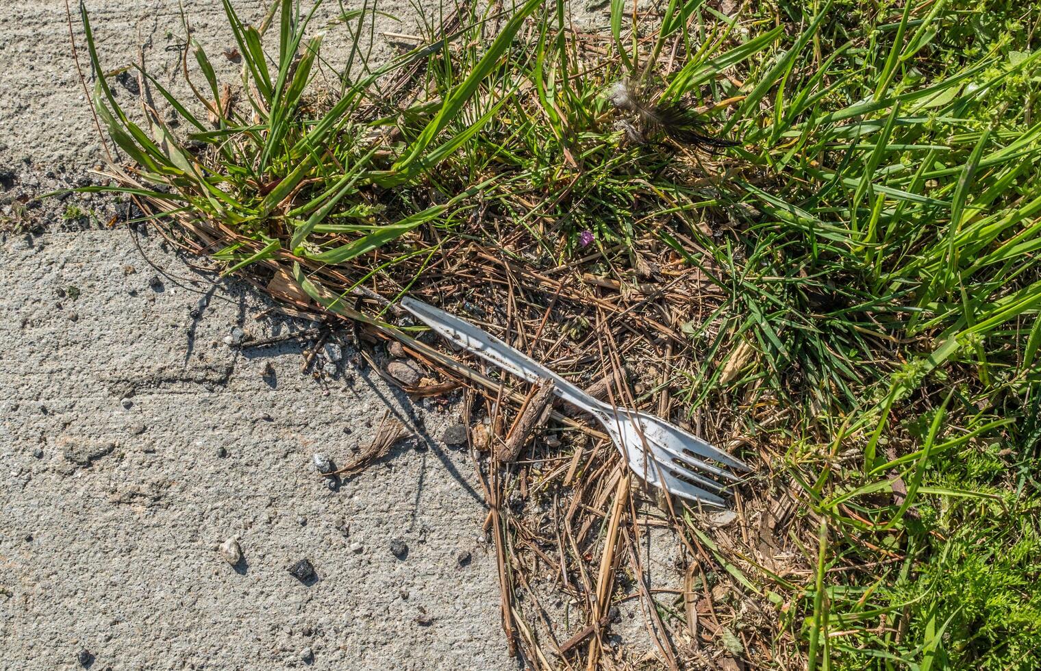 Plastic fork laying on the ground photo