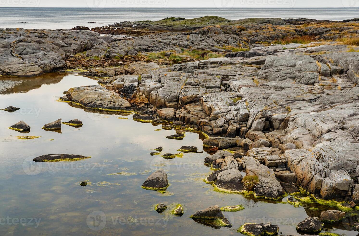 Norwegian seascape, rocky coast with dramatic skies, the coast is partially covered with grass, shallow at low tide, sheer cliffs, photo