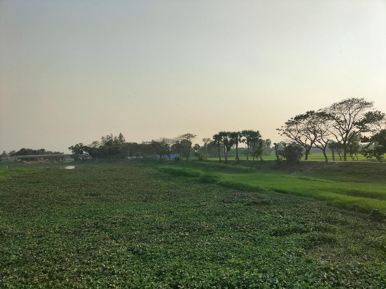 greenery landscape background scenery images photo