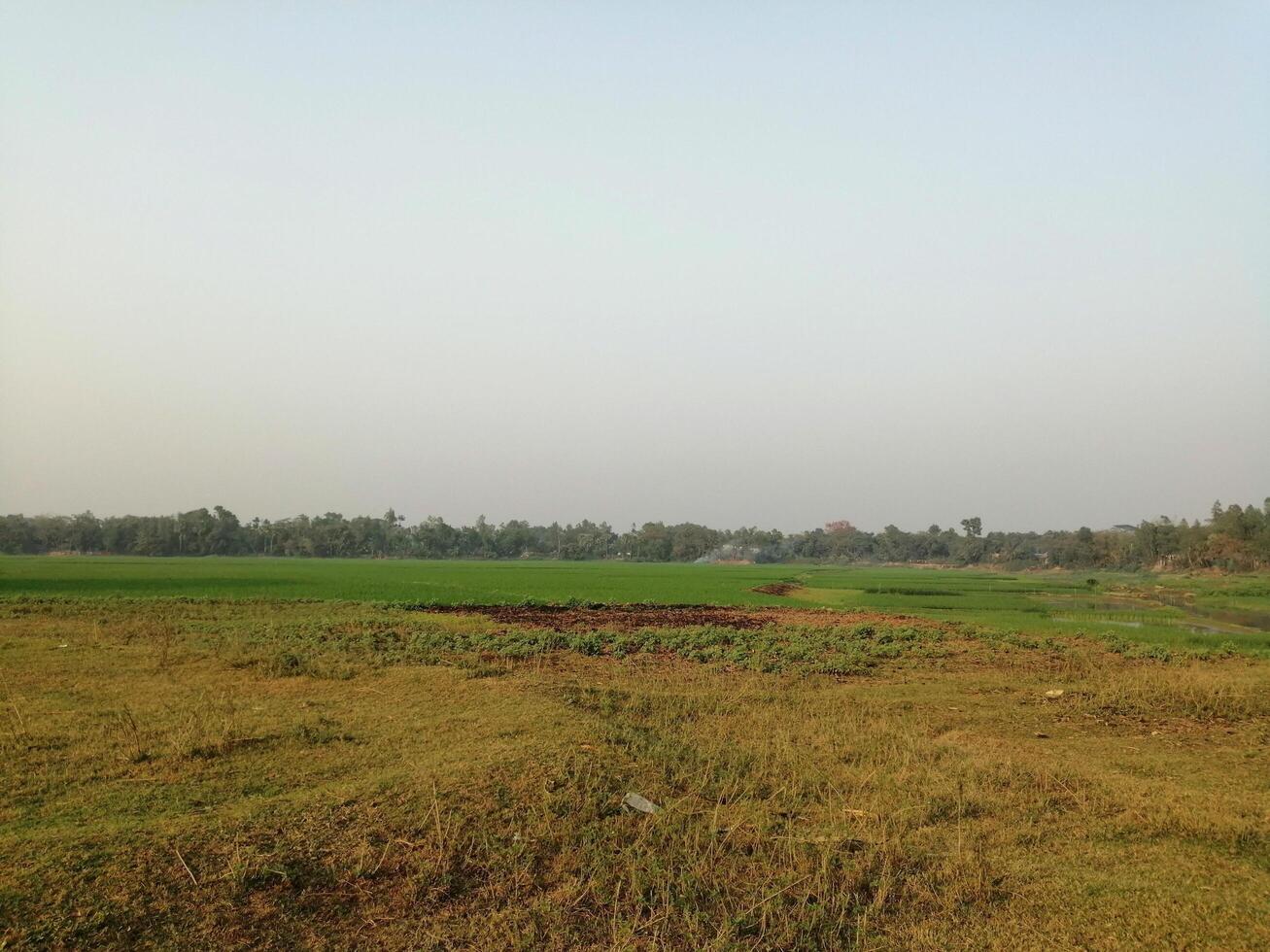 beutiful village green scenery background photo
