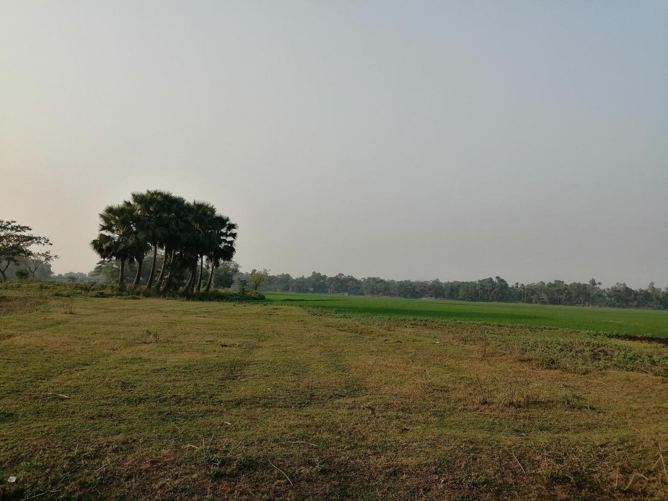 beutiful village green scenery background photo