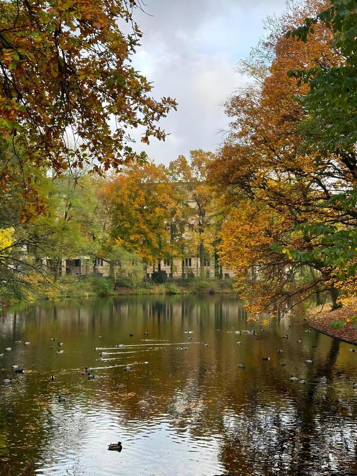 Autumn in yorkshire, uk photo