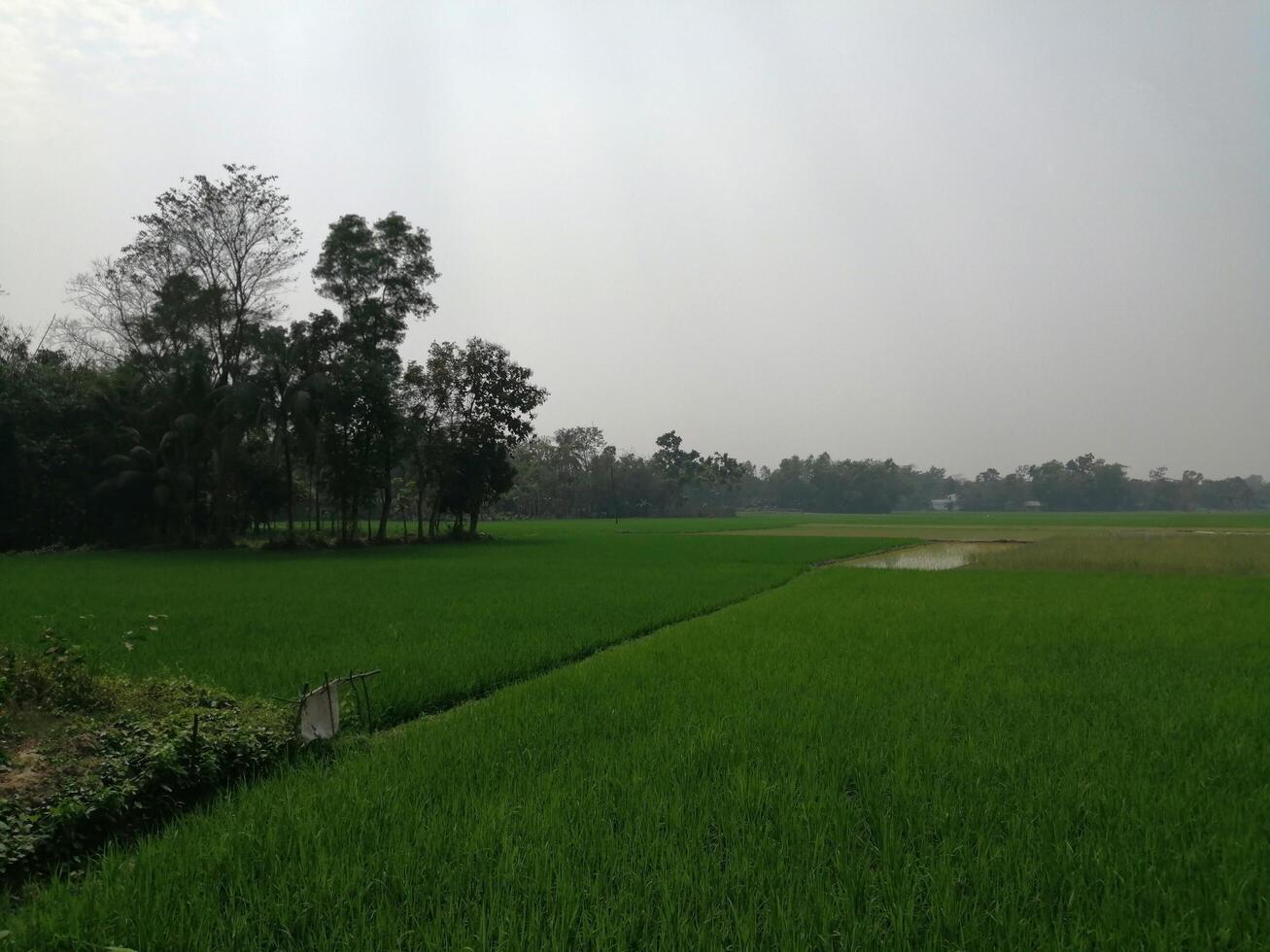 beutiful village green scenery background photo