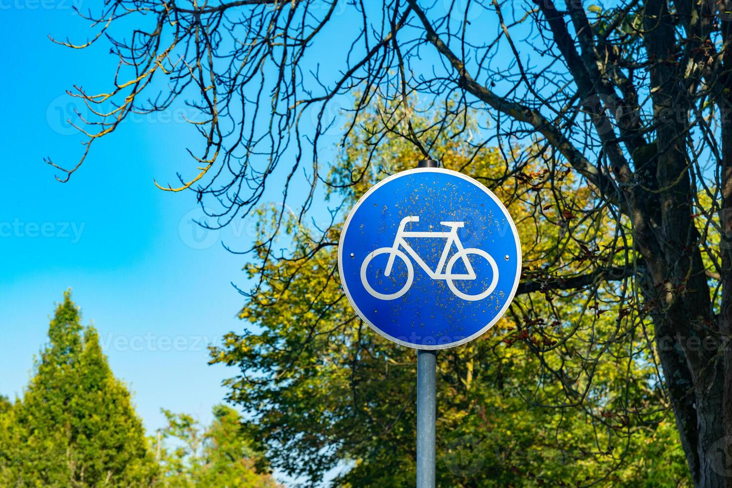 blue sign with a bicycle symbol on it is on a pole in a park photo