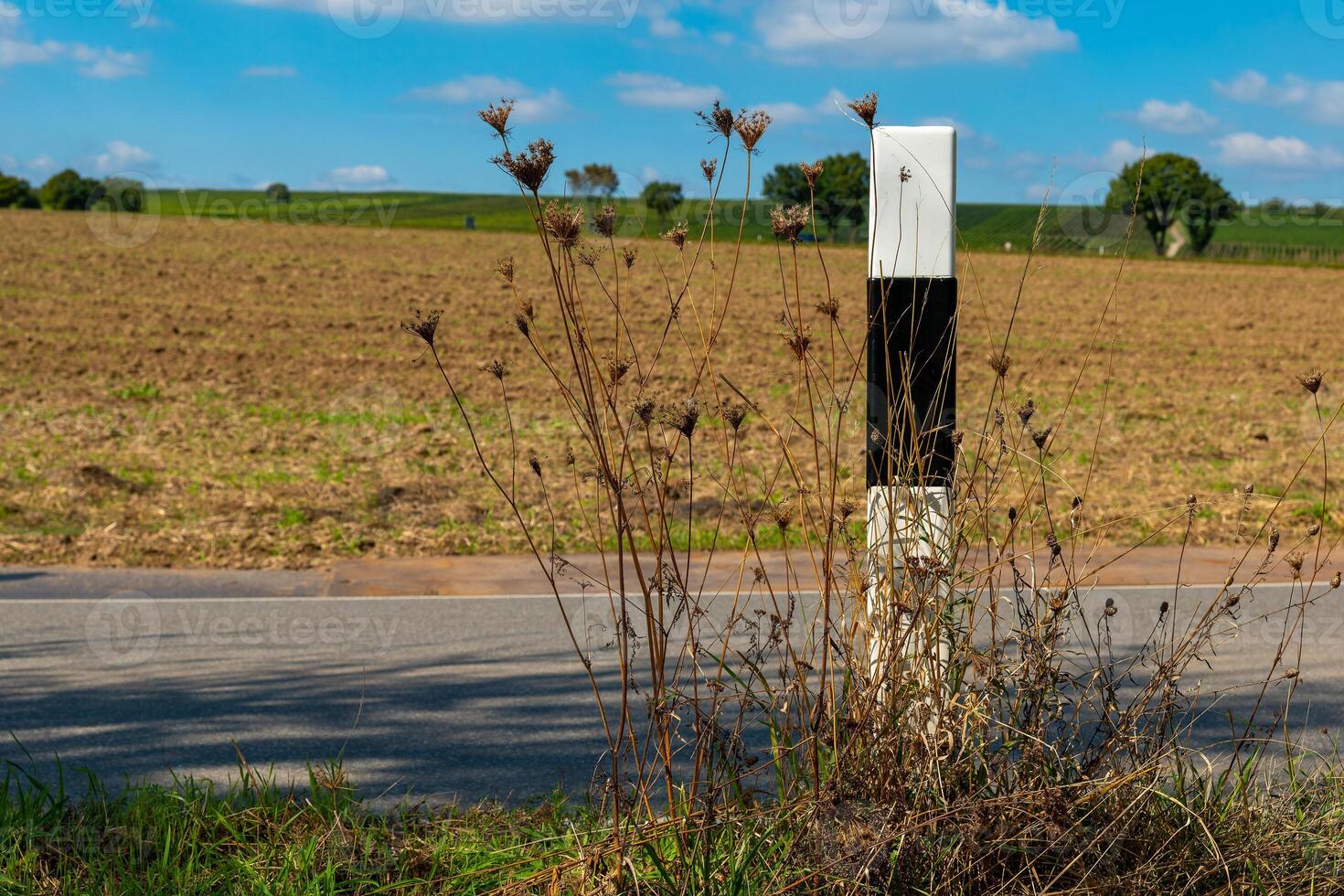 road sign is in a field with a lot of weeds photo