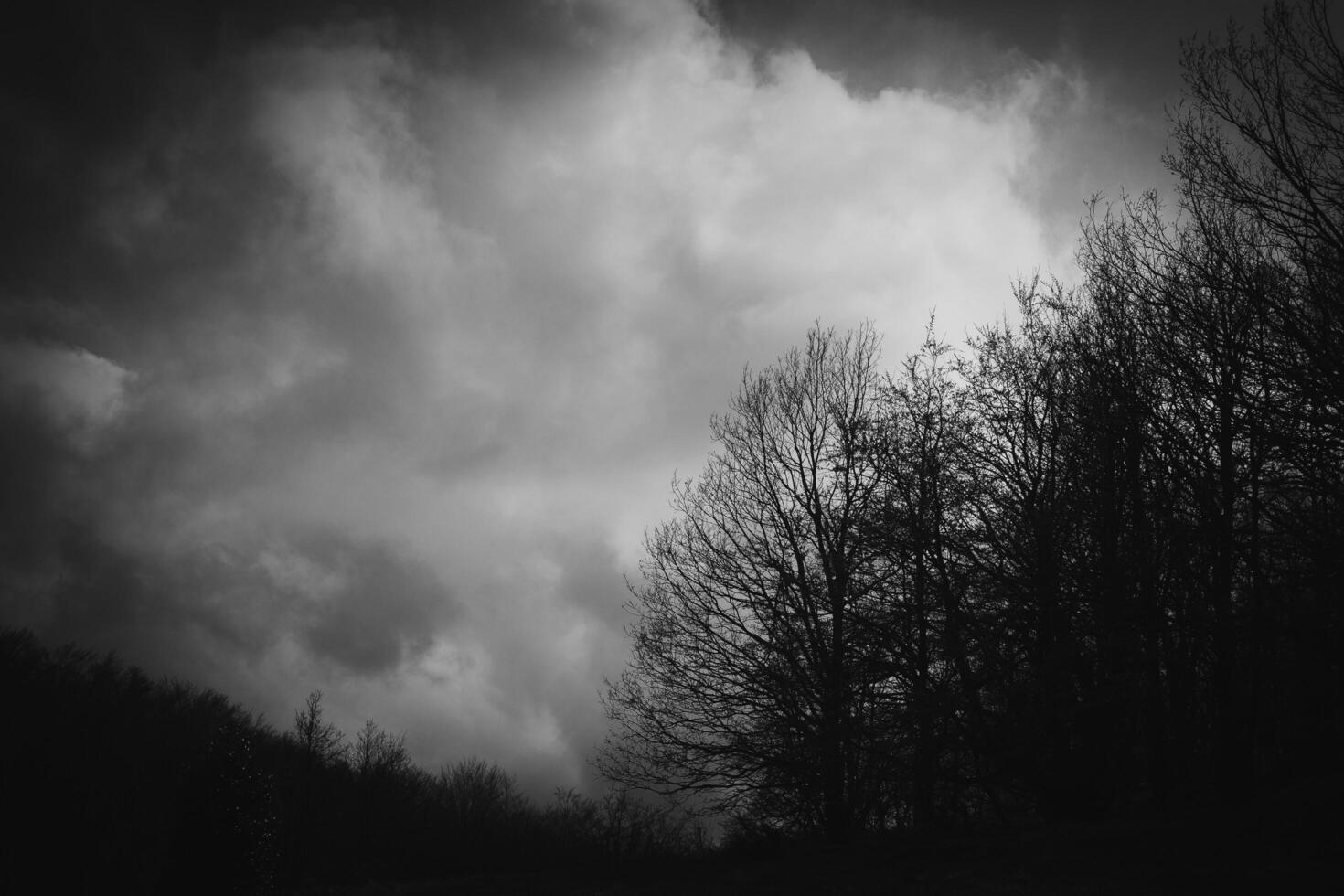 Dark horror landscape typical of Halloween with trees with dry branches and cloudy skies in black and white with eerie colours photo