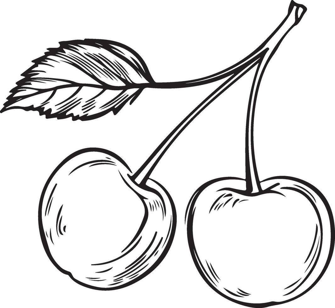 cherries coloring pages vector