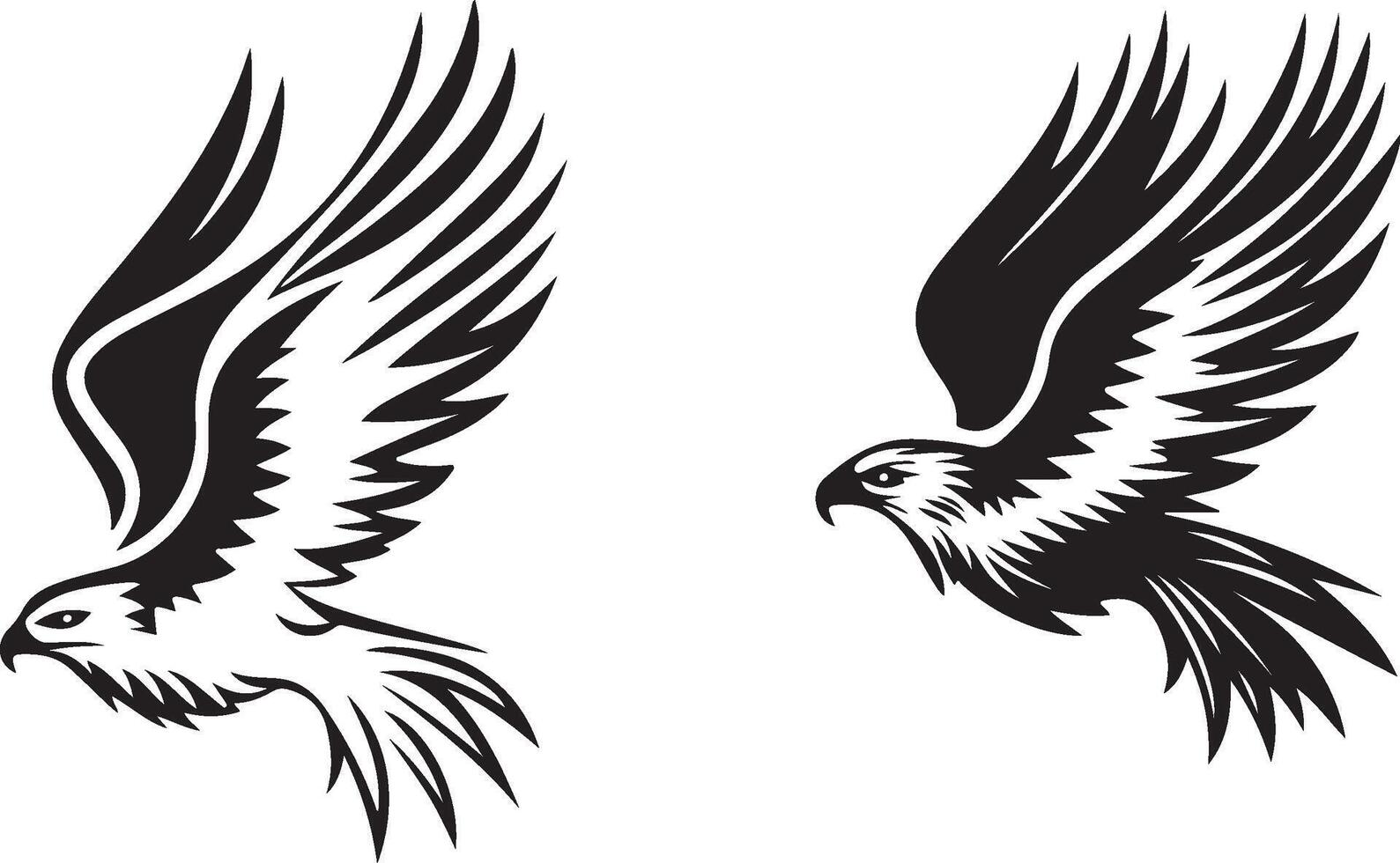 two black and white images of an eagle flying vector