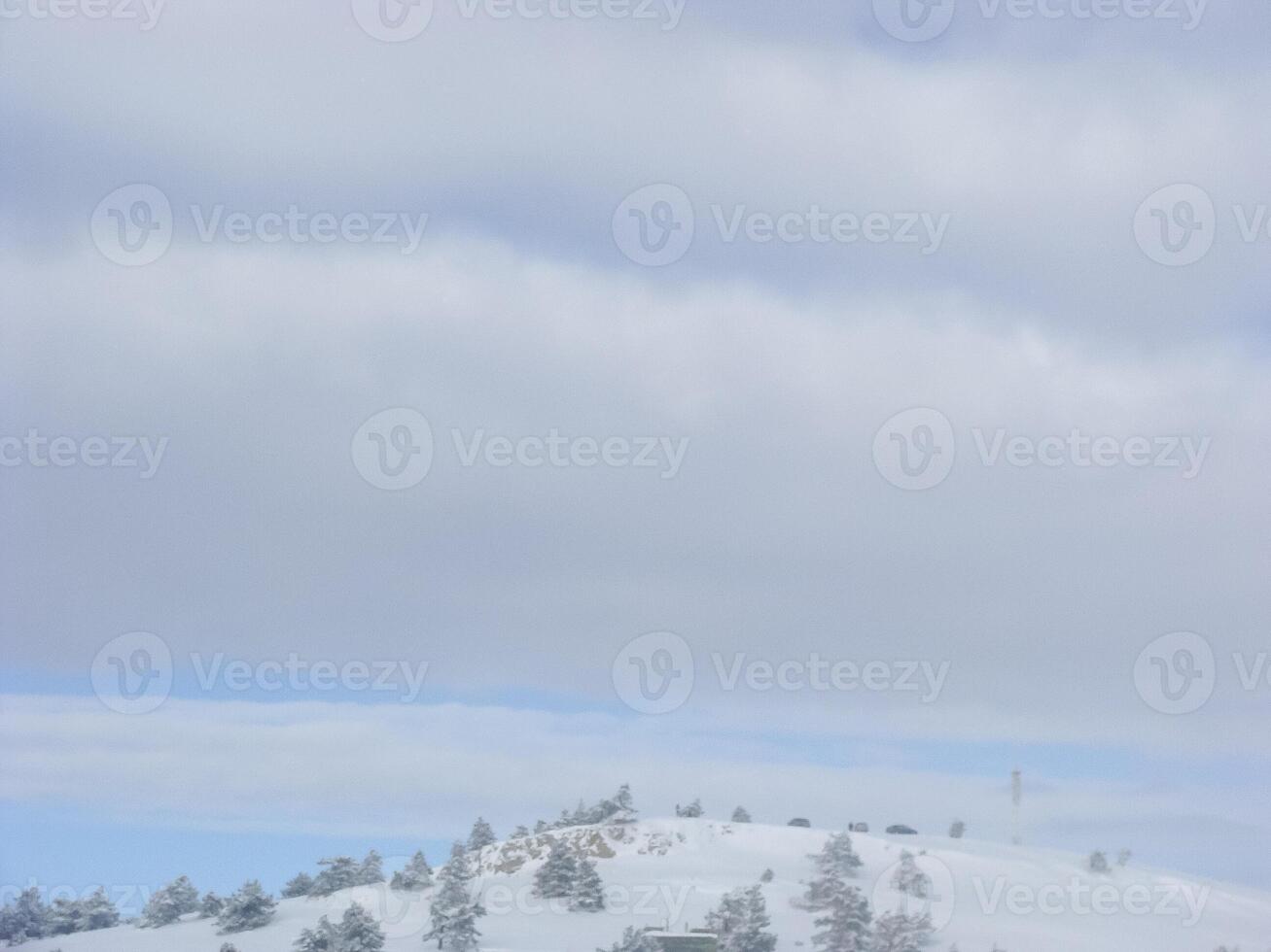 Winter landscape on the top of the mountain. Trees in the snow. Nature background. North Pole photo