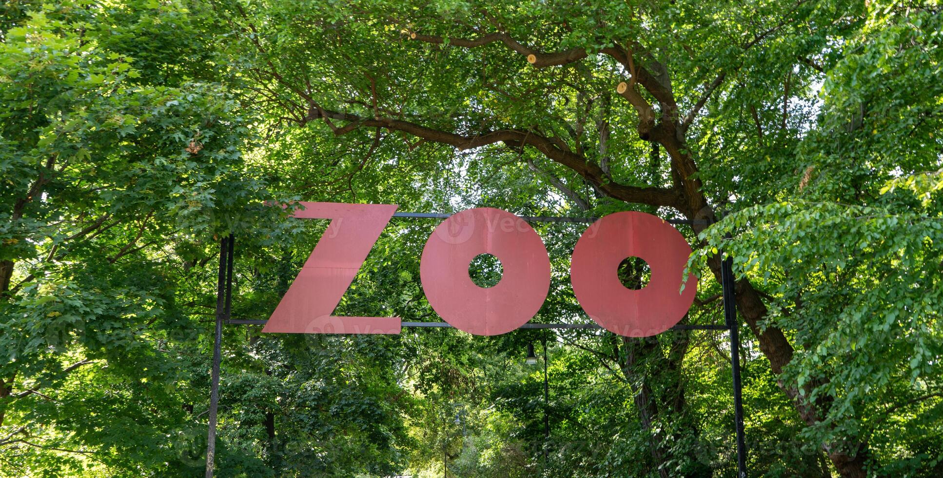 ZOO. Word signboard. Alley in a green park among the trees. photo